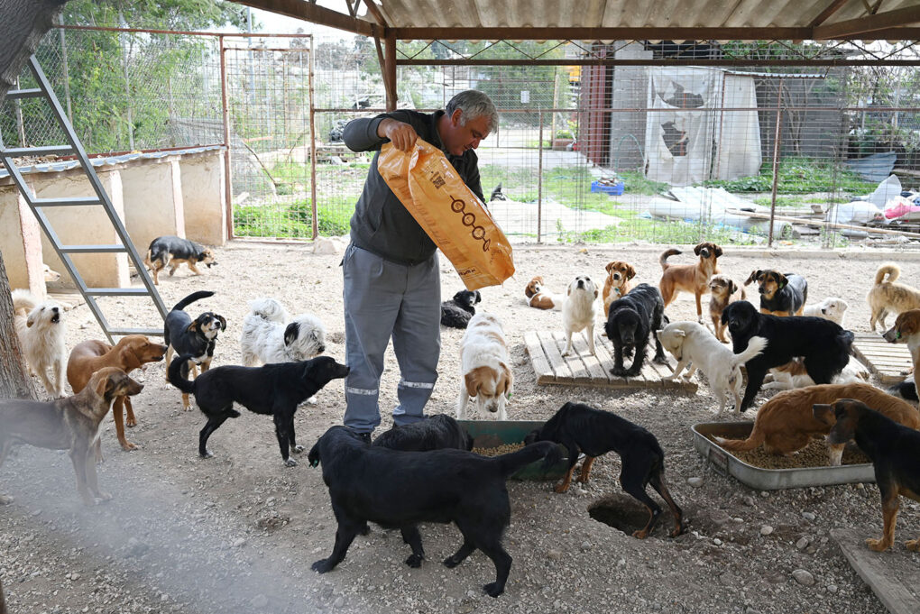Kemer Belediyesi’nden “Can dostlarına” yardım eli
