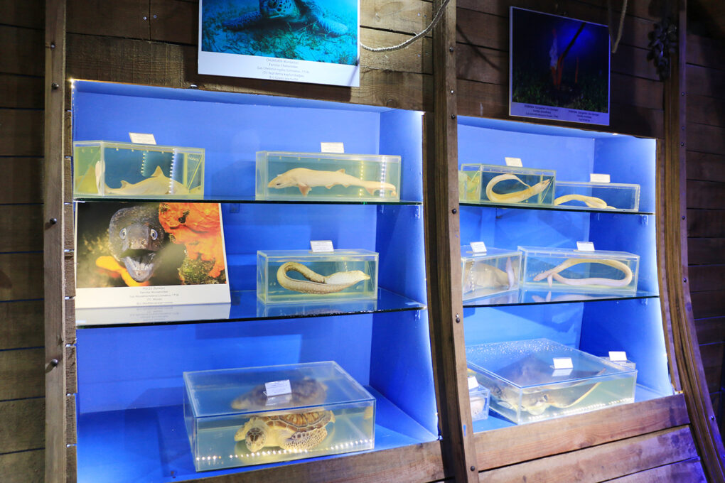 Antalya Büyükşehir Belediyesi denizciliğin geliştirilmesi adına çalışmalarını sürdürüyor