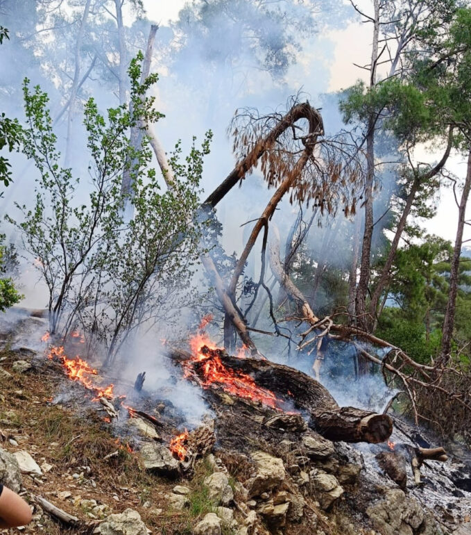 Göynük Kanyonunda Orman Yangını