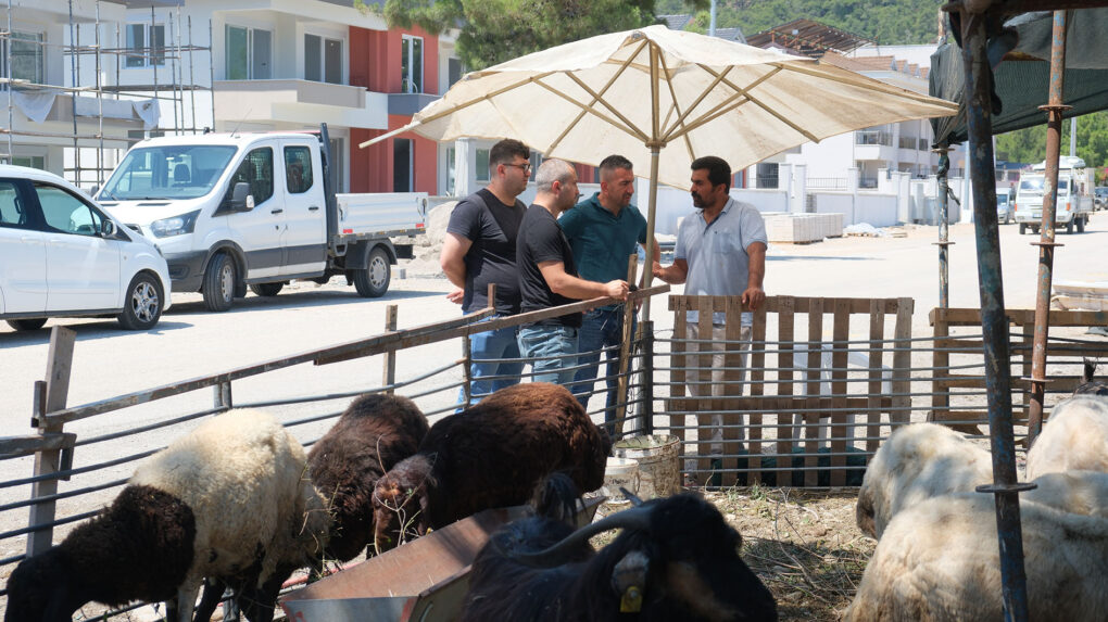 Kurban satış alanlarında denetim