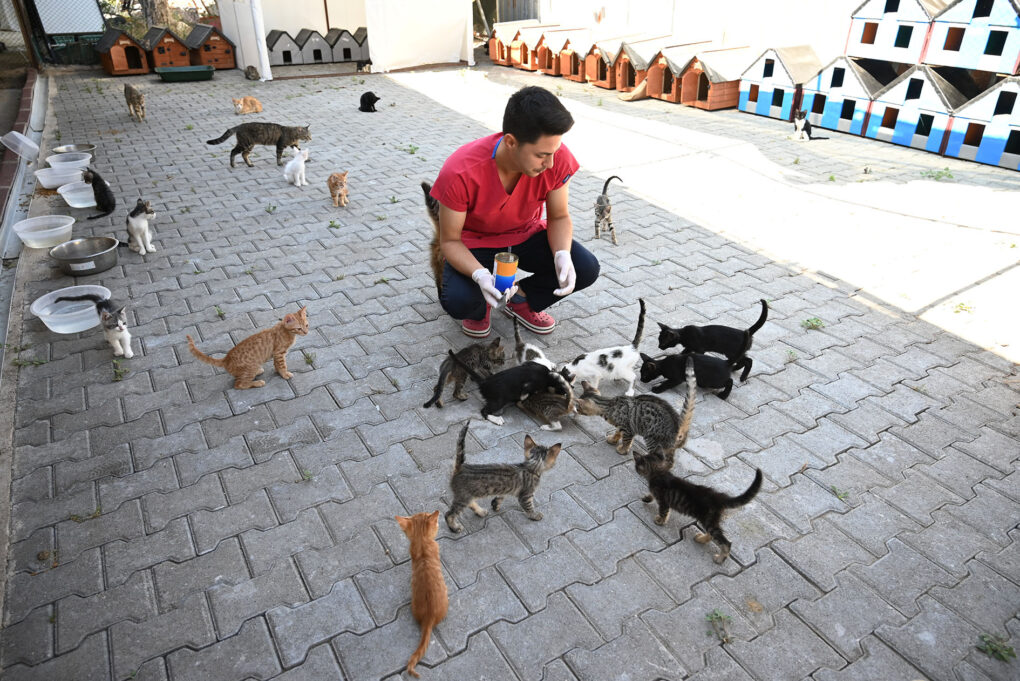 Kemer Belediyesi “Can dostlarının yanında” 