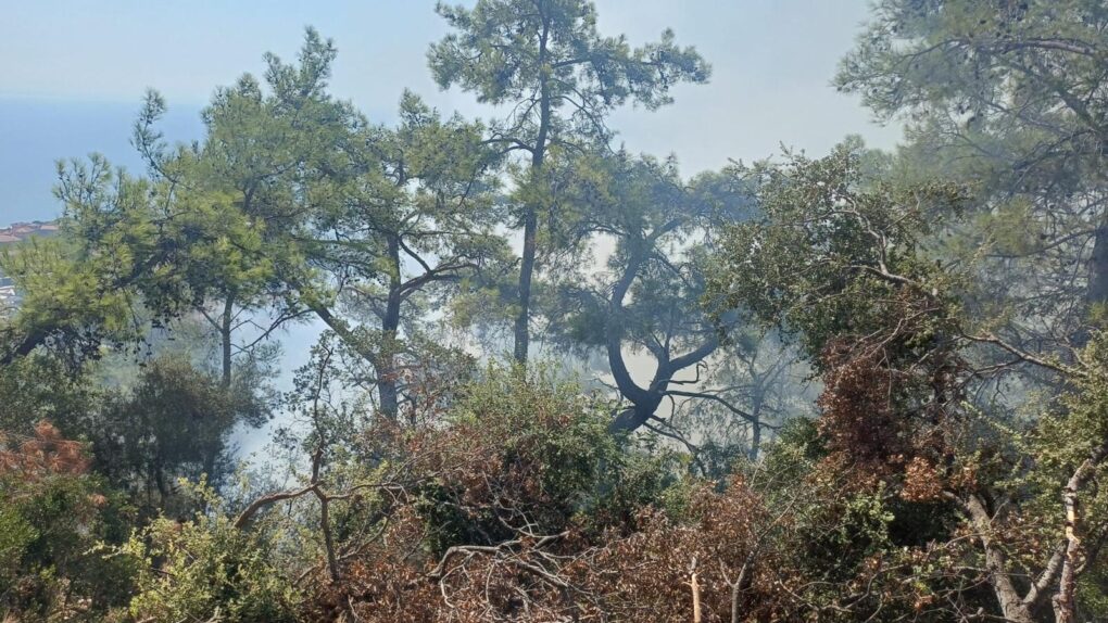Kemer’de korkutan yangın
