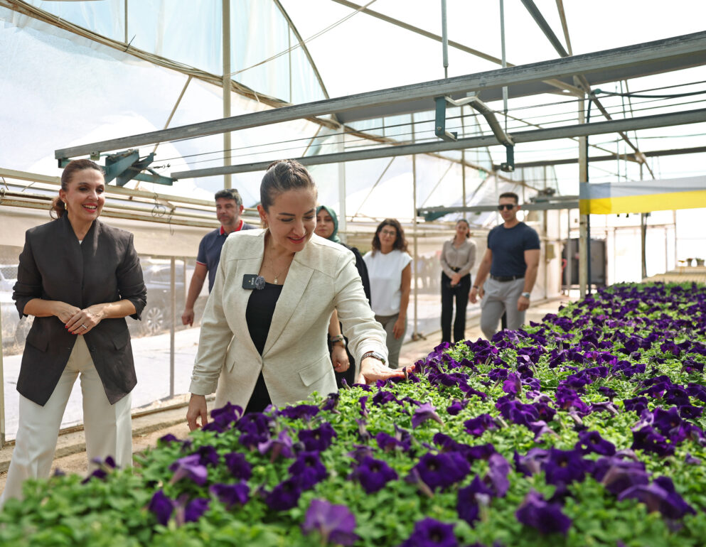 Başkan Vekili Özdemir bitki üretim tesisini gezdi
