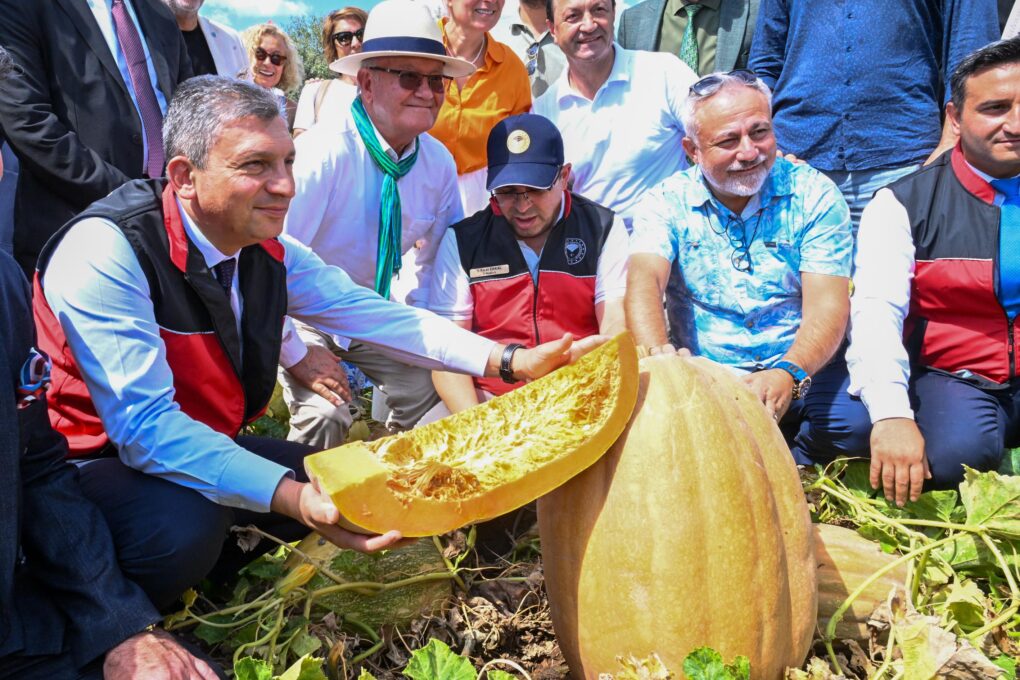 Tarladan Dünya Sofrasına Döşemealtı Camili Bal Kabağı