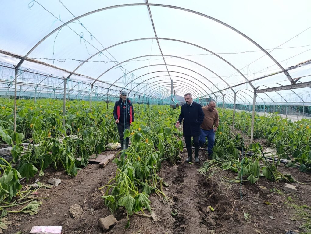 Kaymakam Solmaz’dan Selden Etkilenen Üreticilere Destek Ziyareti