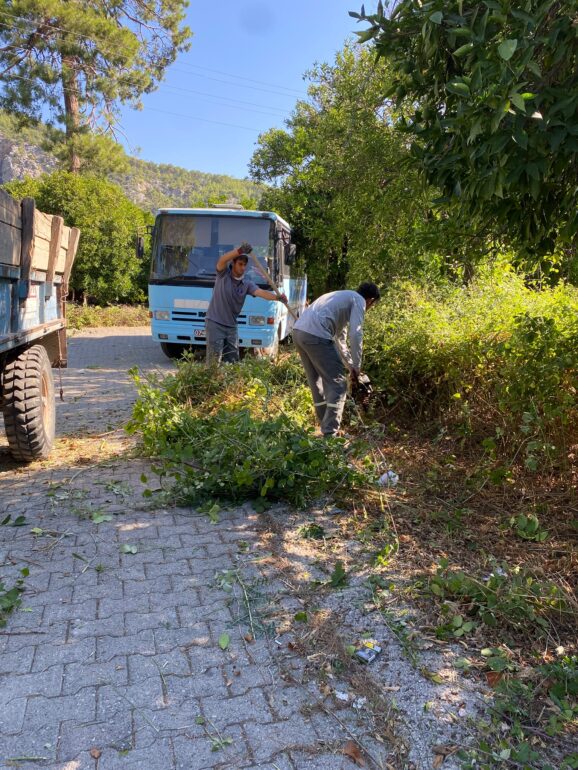 Kemer’de yeşil alanlarda bakım çalışmaları