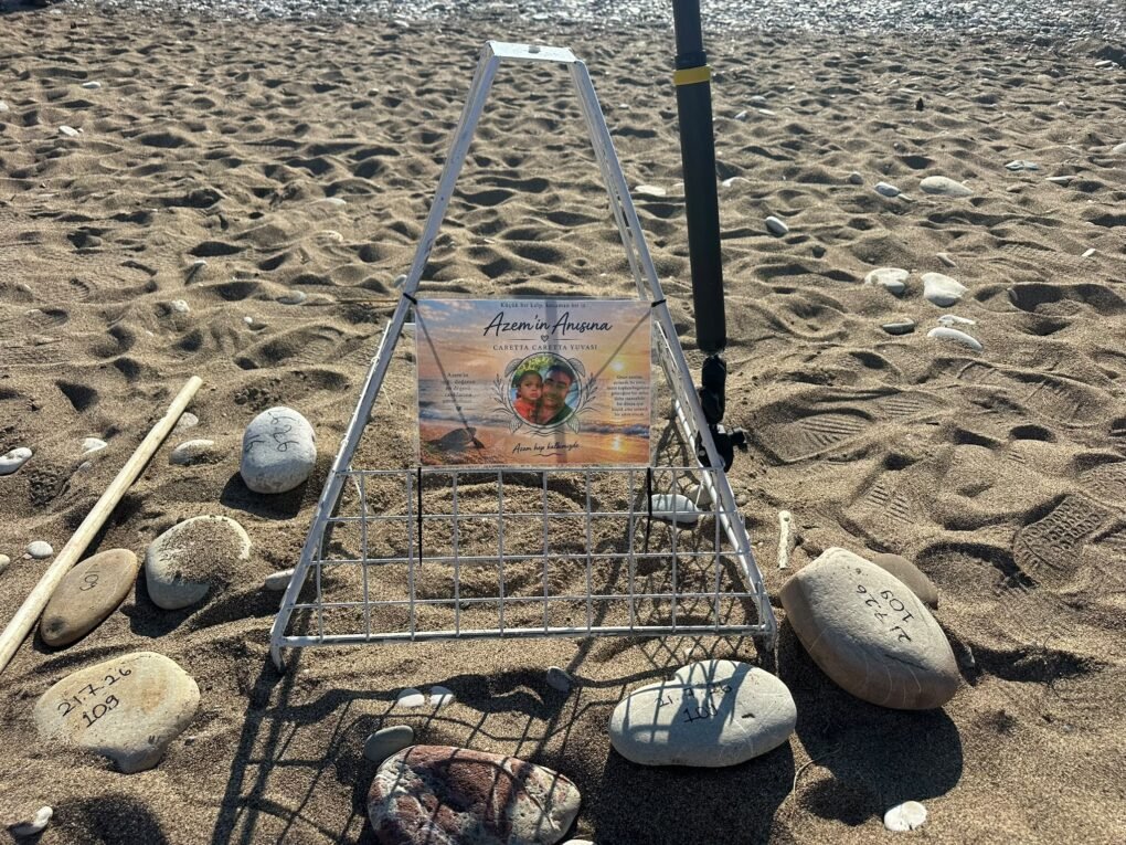 Kemer’de son caretta caretta yuvası açıldı